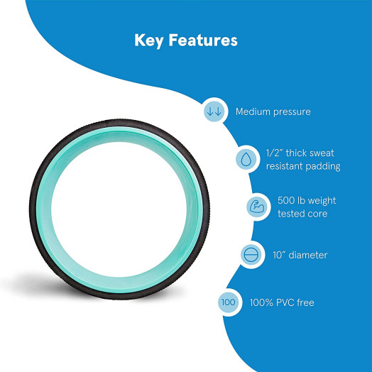 Plexus Chirp Wheel for Back Pain, Stretches and Strengthens Core Muscles, Relieves Strain to Muscles and Ligaments, Helps Prevent Herniated/Bulging Discs, Arthritis, and Osteoporosis Plexus Chirp Wheel for Back Pain, Stretches and Strengthens Core Muscles, Relieves Strain to Muscles and Ligaments, Helps Prevent Herniated/Bulging Discs, Arthritis, and Osteoporosis