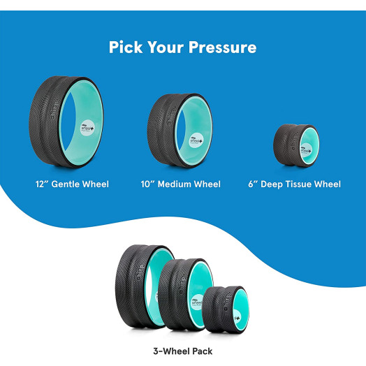Plexus Chirp Wheel for Back Pain, Stretches and Strengthens Core Muscles, Relieves Strain to Muscles and Ligaments, Helps Prevent Herniated/Bulging Discs, Arthritis, and Osteoporosis Plexus Chirp Wheel for Back Pain, Stretches and Strengthens Core Muscles, Relieves Strain to Muscles and Ligaments, Helps Prevent Herniated/Bulging Discs, Arthritis, and Osteoporosis