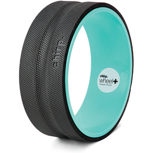 Plexus Chirp Wheel for Back Pain, Stretches and Strengthens Core Muscles, Relieves Strain to Muscles and Ligaments, Helps Prevent Herniated/Bulging Discs, Arthritis, and Osteoporosis Plexus Chirp Wheel for Back Pain, Stretches and Strengthens Core Muscles, Relieves Strain to Muscles and Ligaments, Helps Prevent Herniated/Bulging Discs, Arthritis, and Osteoporosis