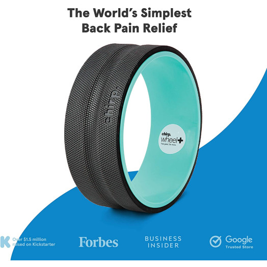 Plexus Chirp Wheel for Back Pain, Stretches and Strengthens Core Muscles, Relieves Strain to Muscles and Ligaments, Helps Prevent Herniated/Bulging Discs, Arthritis, and Osteoporosis Plexus Chirp Wheel for Back Pain, Stretches and Strengthens Core Muscles, Relieves Strain to Muscles and Ligaments, Helps Prevent Herniated/Bulging Discs, Arthritis, and Osteoporosis