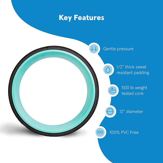 Plexus Chirp Wheel for Back Pain, Stretches and Strengthens Core Muscles, Relieves Strain to Muscles and Ligaments, Helps Prevent Herniated/Bulging Discs, Arthritis, and Osteoporosis Plexus Chirp Wheel for Back Pain, Stretches and Strengthens Core Muscles, Relieves Strain to Muscles and Ligaments, Helps Prevent Herniated/Bulging Discs, Arthritis, and Osteoporosis