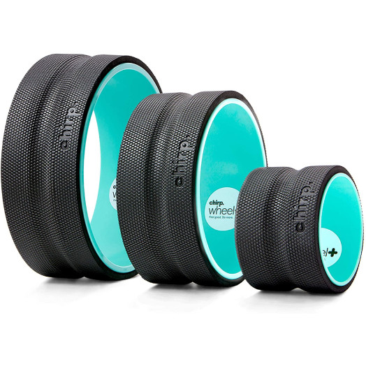 Plexus Chirp Wheel for Back Pain, Stretches and Strengthens Core Muscles, Relieves Strain to Muscles and Ligaments, Helps Prevent Herniated/Bulging Discs, Arthritis, and Osteoporosis Plexus Chirp Wheel for Back Pain, Stretches and Strengthens Core Muscles, Relieves Strain to Muscles and Ligaments, Helps Prevent Herniated/Bulging Discs, Arthritis, and Osteoporosis