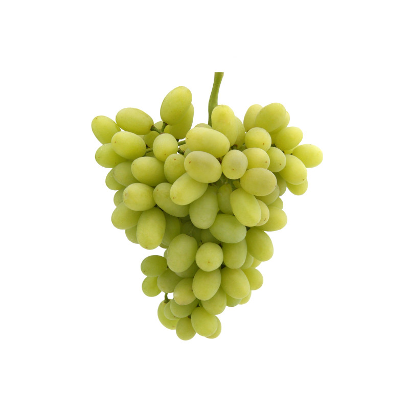Seedless Green Grapes Seedless Green Grapes