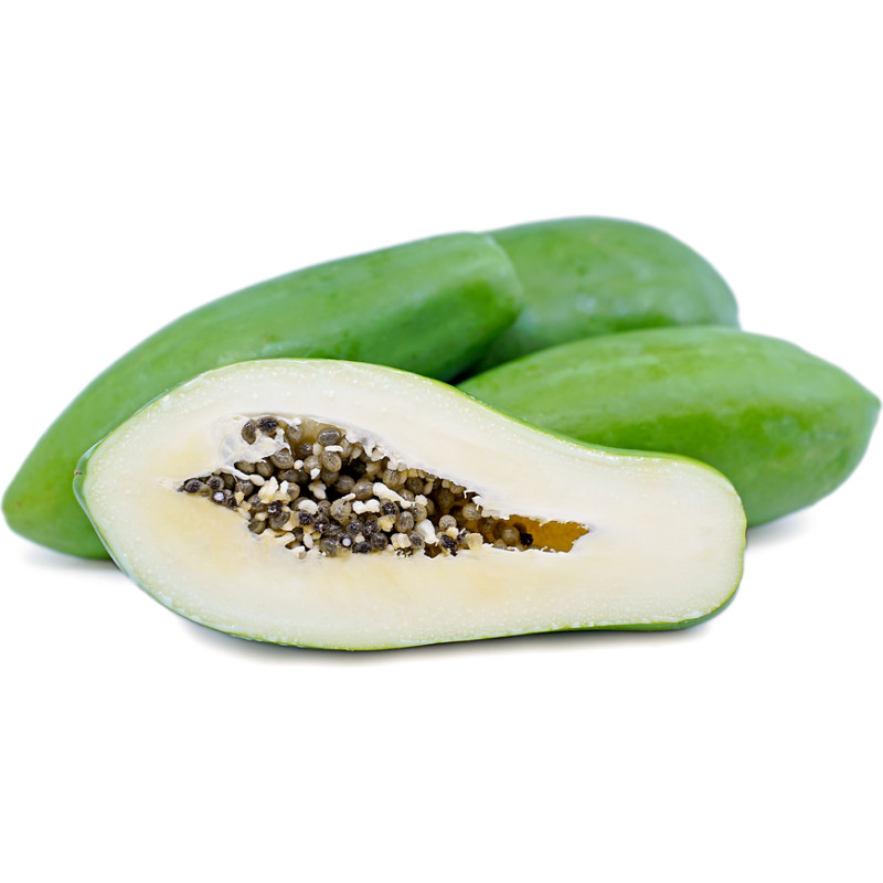 Maradol Papaya Maradol Papaya