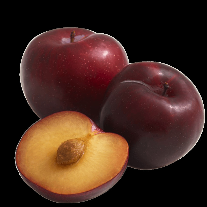 Tree Ripened Plum- Large Tree Ripened Plum- Large