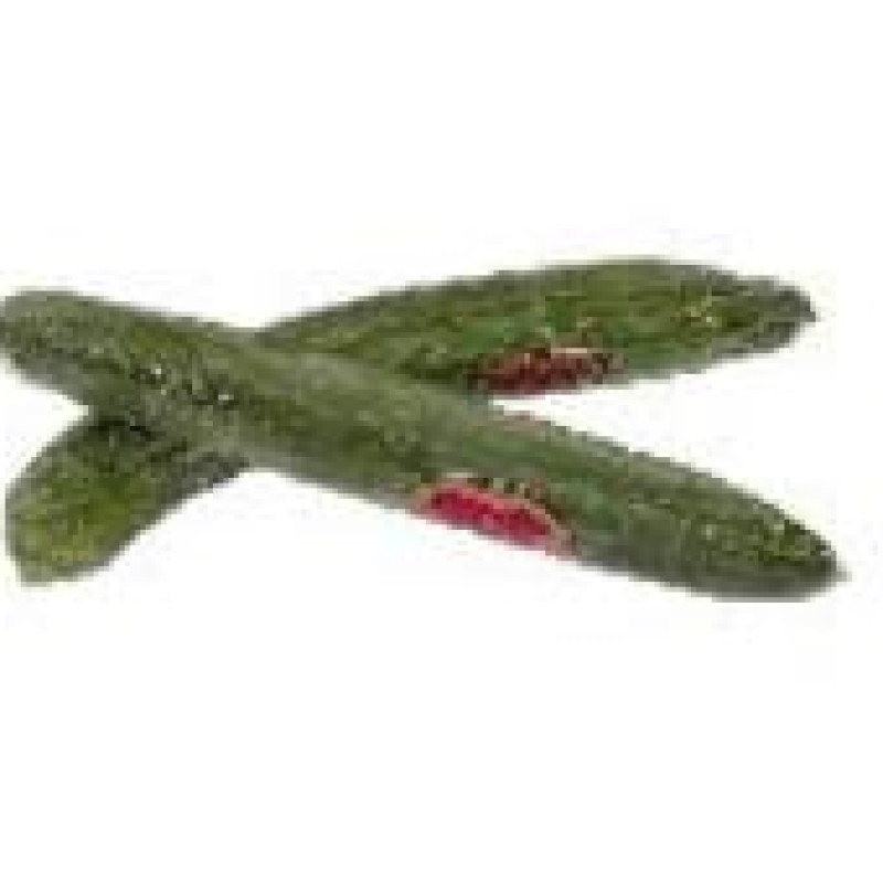 Baby Seedless Cucumbers Baby Seedless Cucumbers