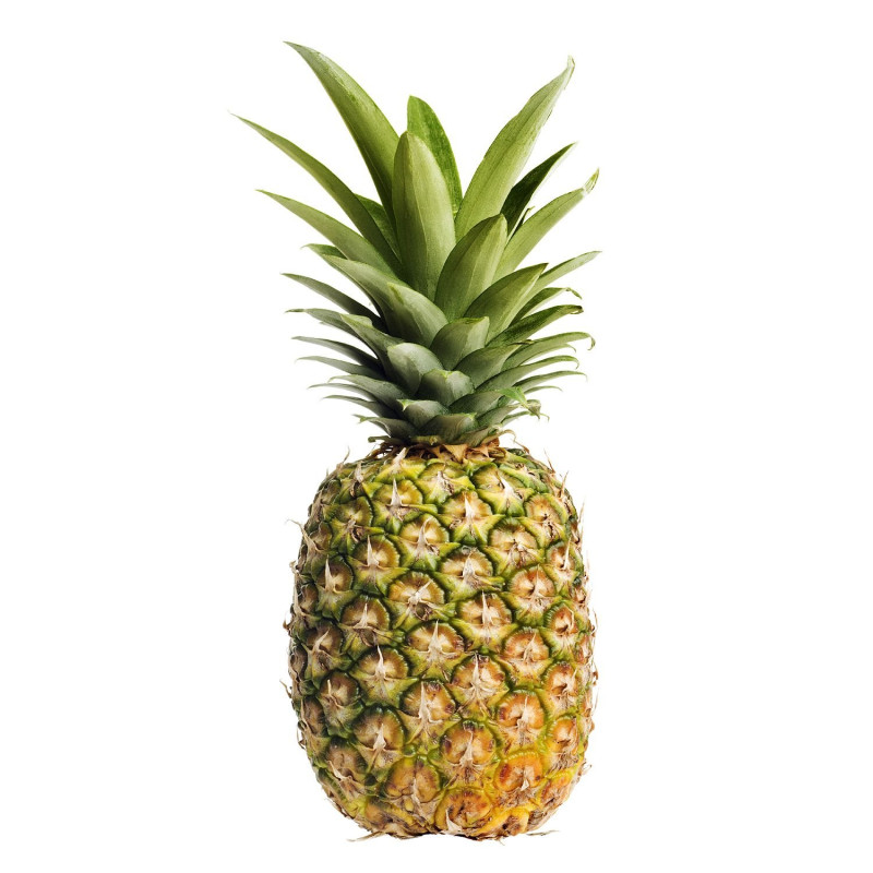 Golden Pineapple Golden Pineapple