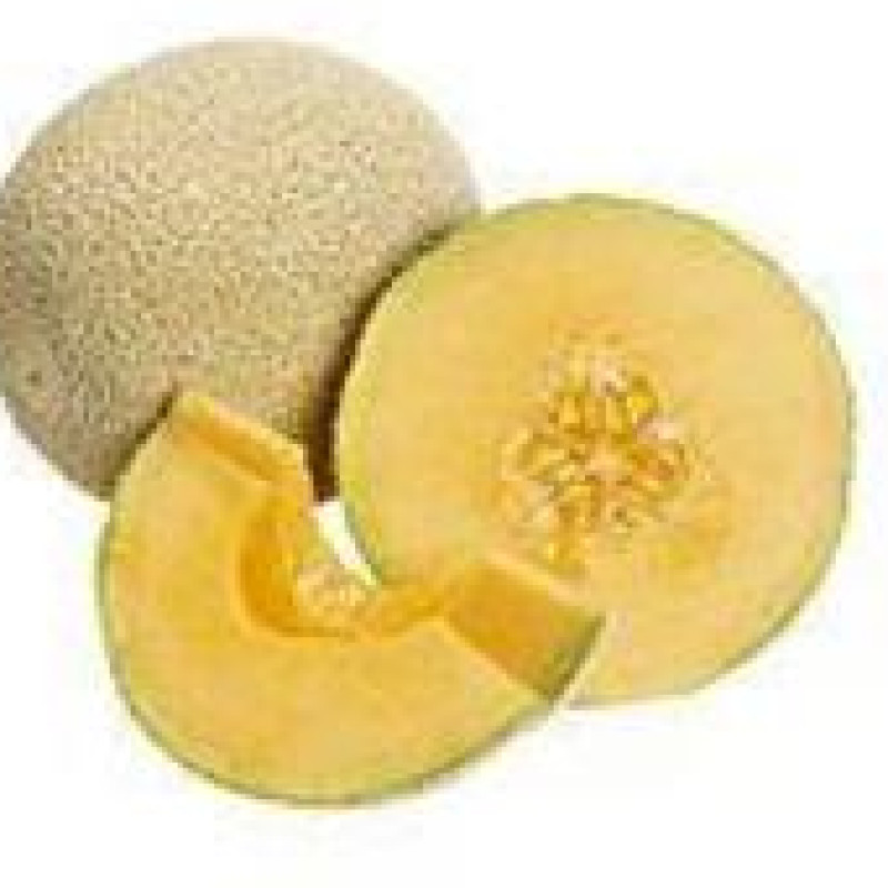 Organic Cantaloupe, 1 ct Organic Cantaloupe, 1 ct