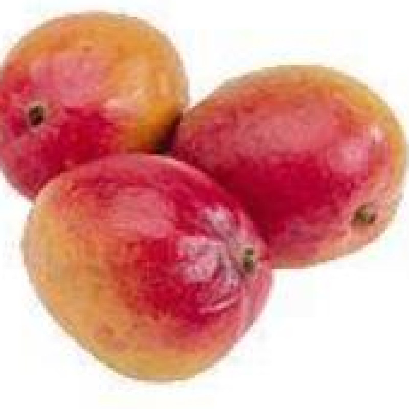 Mango Organic Mango Organic