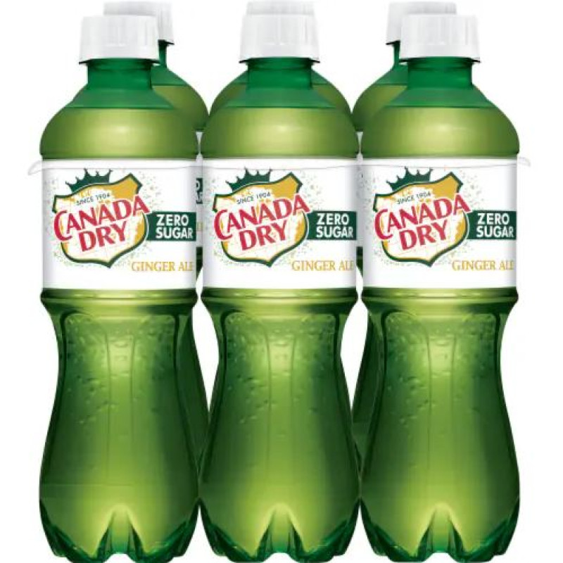 Canada Dry Diet Ginger Ale - 6 Pack Bottles