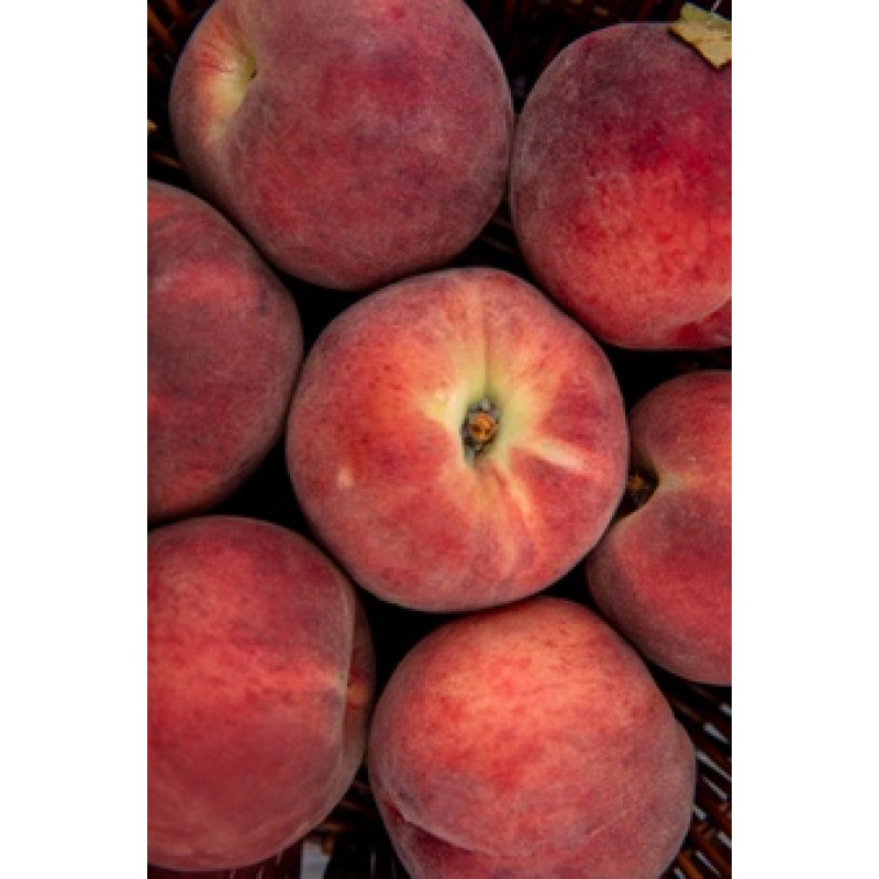 Garden Sweet Organic Gala Apples Garden Sweet Organic Gala Apples