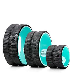 Plexus-Chirp-Wheel-for-Back-Pain-Stretches-and-Strengthens-Core-Muscles-Relieves-Strain-to-Muscles-a